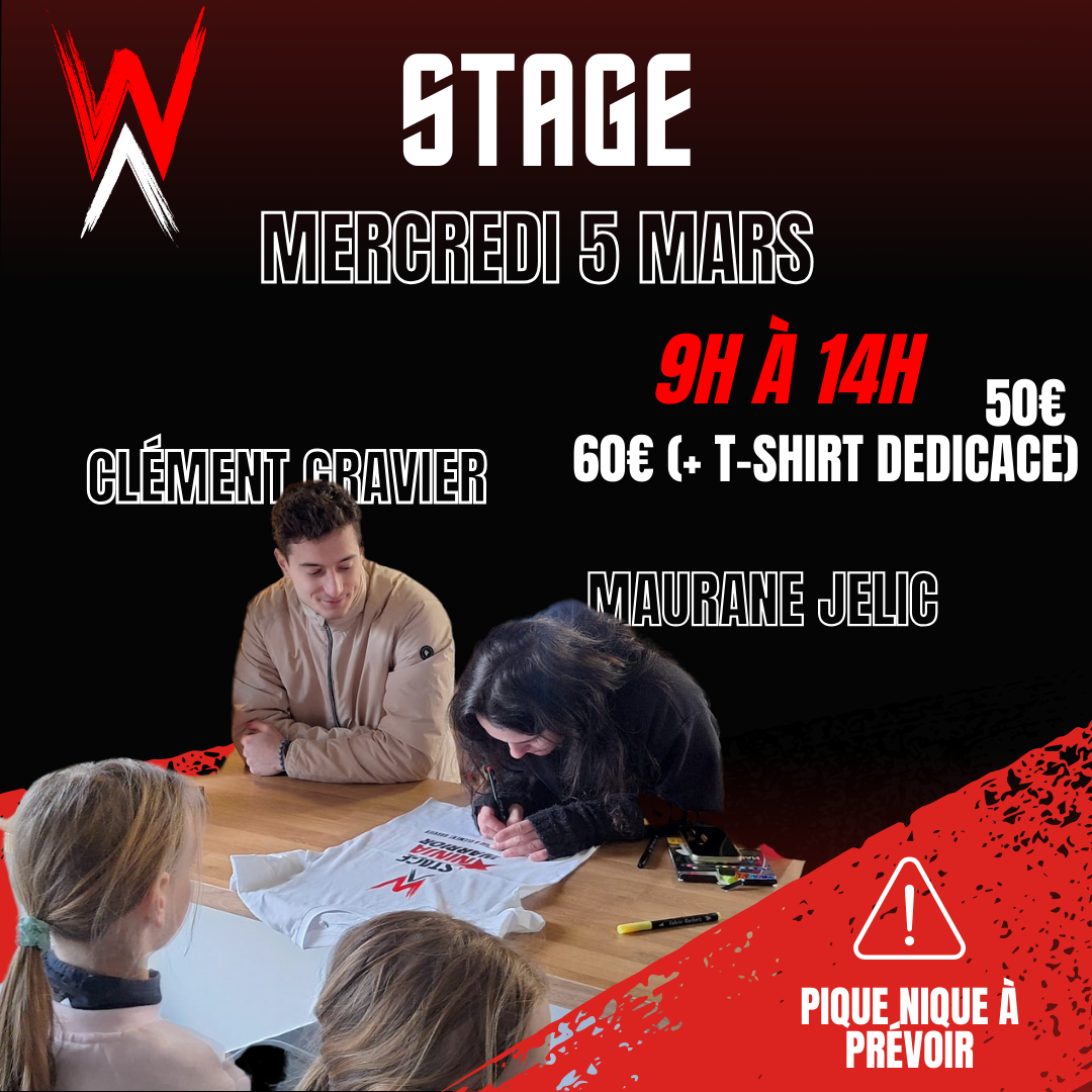 Stage Ninja Warrior à Lyon : Activité Enfant Incontournable pendant les Vacances d’Hiver